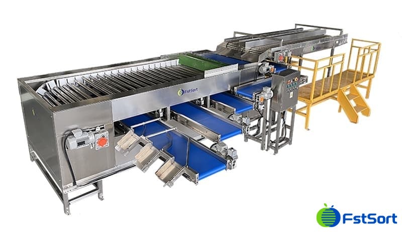 images/1739354829914Máquina clasificadora y clasificadora de lichis.jpg